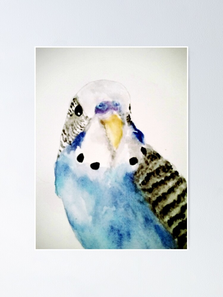 small blue parakeet