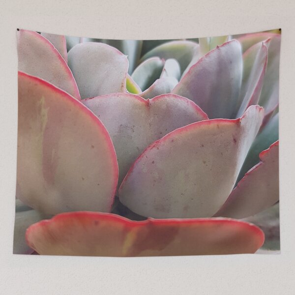 Item preview, Translucent designed and sold by Elsabe Smith.