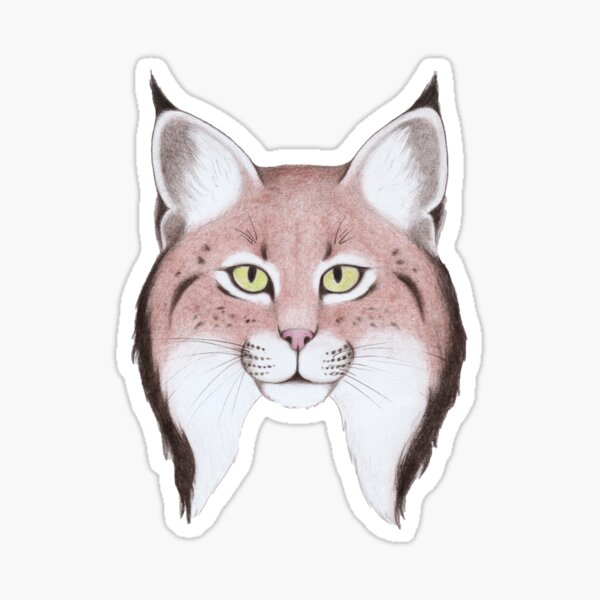 Iberian Lynx Sticker