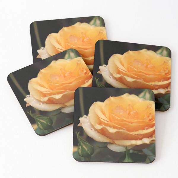 Item preview, Yellow Rose designed and sold by Djohnsphotos.