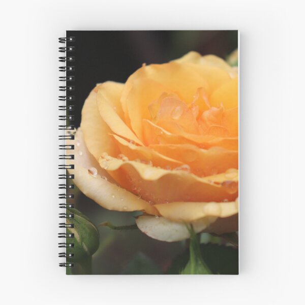 Item preview, Yellow Rose designed and sold by Djohnsphotos.