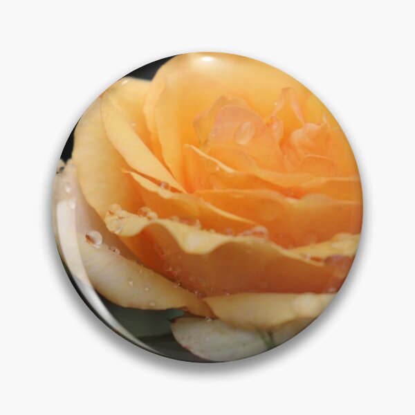 Item preview, Yellow Rose designed and sold by Djohnsphotos.