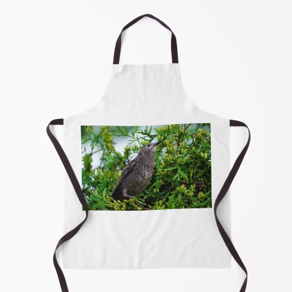 Item preview, Starling bird sitting on a pine tree branch designed and sold by vm2002.