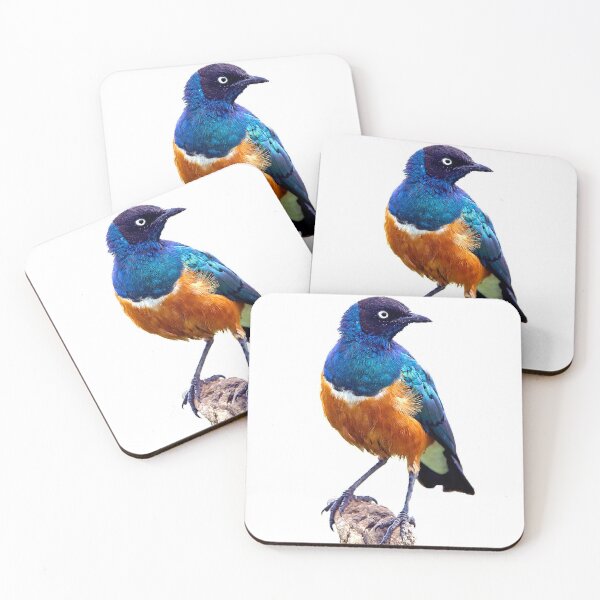 Item preview, The Fischeri starling is a species. The adult bird's feathers are mainly gray, the abdomen is white, the iris is white, and the beak is black designed and sold by zenger2021.
