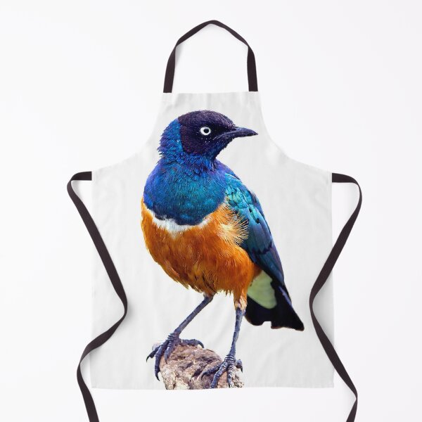 Item preview, The Fischeri starling is a species. The adult bird's feathers are mainly gray, the abdomen is white, the iris is white, and the beak is black designed and sold by zenger2021.