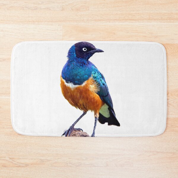 Item preview, The Fischeri starling is a species. The adult bird's feathers are mainly gray, the abdomen is white, the iris is white, and the beak is black designed and sold by zenger2021.