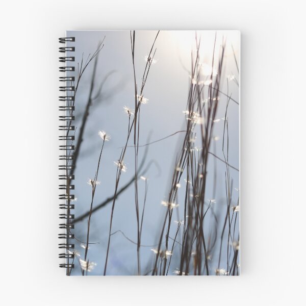 Item preview, Sunny skies designed and sold by Djohnsphotos.