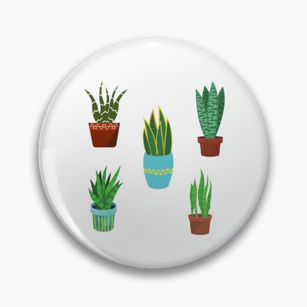 Item preview, Sankeplant/Sansevieria designed and sold by Bossmommy84.