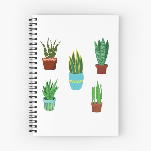 Item preview, Sankeplant/Sansevieria designed and sold by Bossmommy84.