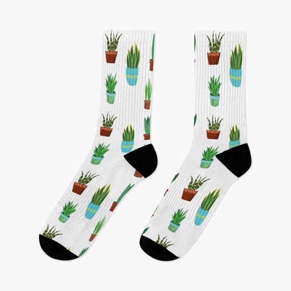Item preview, Sankeplant/Sansevieria designed and sold by Bossmommy84.