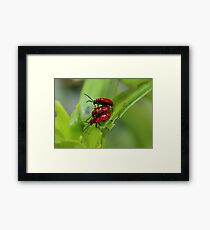 Three in Bed Framed Print