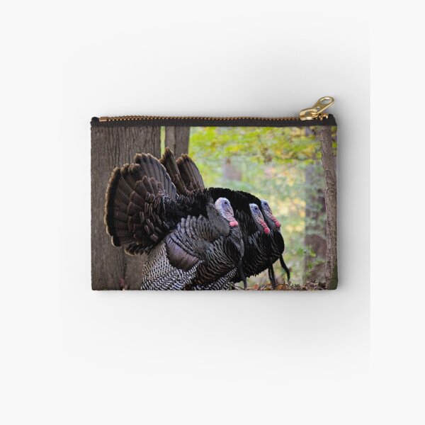 Item preview, Tennessee Turkey Trio designed and sold by EvergreenPhotos.