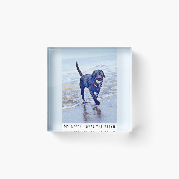 Item preview, My Beech Loves the Black Lab Funny Abstract Dog Meme designed and sold by PeriodicLabel.