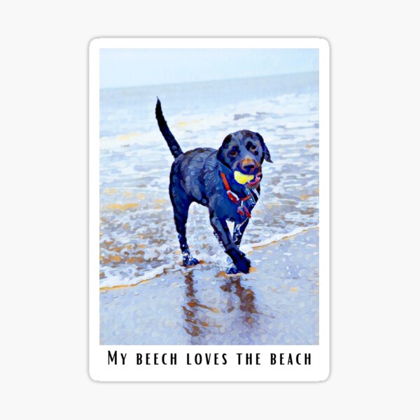 Item preview, My Beech Loves the Black Lab Funny Abstract Dog Meme designed and sold by PeriodicLabel.