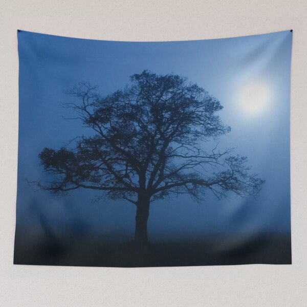 Item preview,  Tapestries,Tapestry,throw blankets,comforters,duvet covers ,shower curtains, Moon art,Moonlight,moon art,moon prints designed and sold by eyesight4vision.