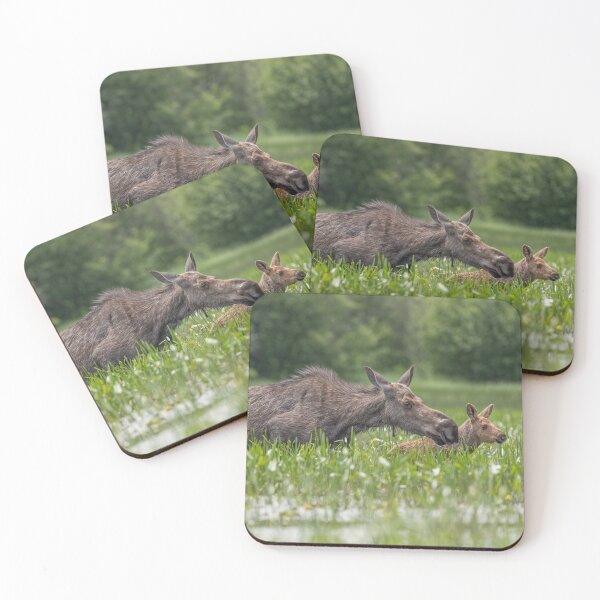 Item preview, Mom and her calf designed and sold by Simpsonwildlife.