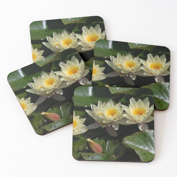 Item preview, Golden Water Lily Flowers designed and sold by GingerMan2550.