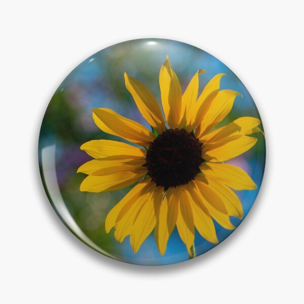 Item preview, Sunflower in morning designed and sold by Photolady51.