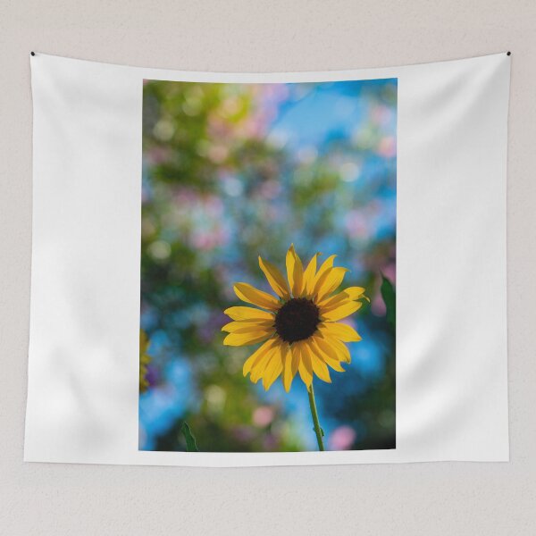 Item preview, Sunflower in morning designed and sold by Photolady51.