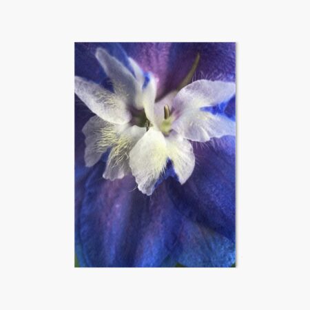 BLUE IRIS Watercolour Flower Print, Original Botanical Flower Painting,  Nature Inspired Gift, Indigo and Cobalt Blue Flowers, Wall Art Decor -   New Zealand