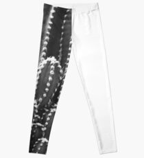 Schwarzer Kaktus Leggings