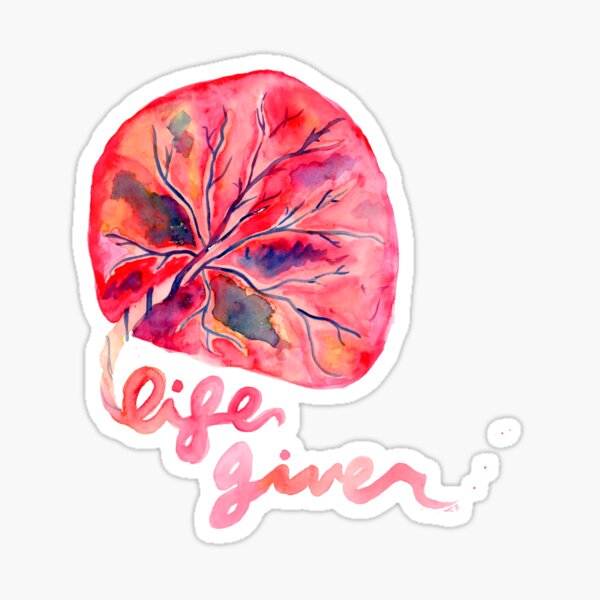 Placenta - Life Giver Sticker