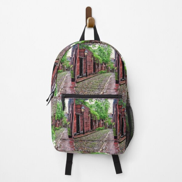 Item preview, Rainy Day Looking Down Acorn Street in Colonial Downtown Boston Massachusetts designed and sold by Stephen Orsillo.