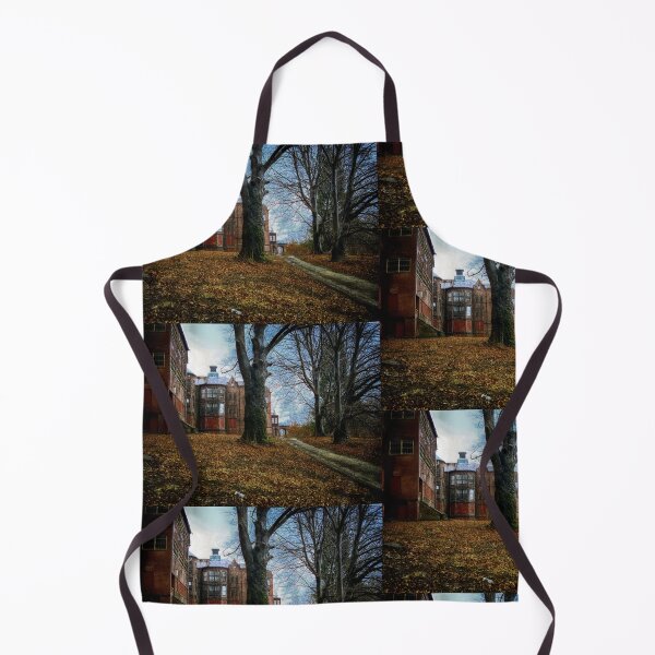 Item preview, Road to Main Building of  Northampton State Hospital Insane Asylum designed and sold by Stephen Orsillo.