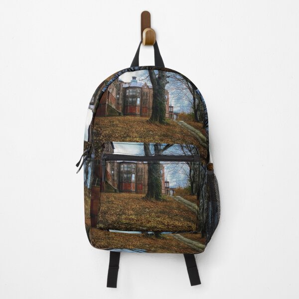 Item preview, Road to Main Building of  Northampton State Hospital Insane Asylum designed and sold by Stephen Orsillo.
