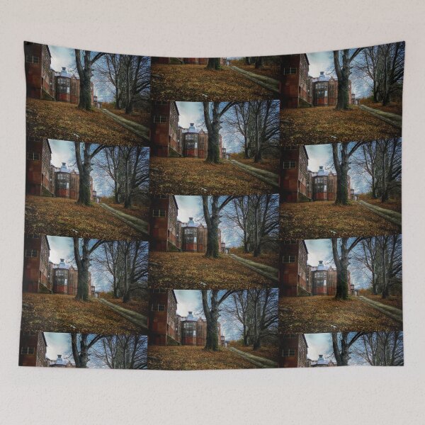 Item preview, Road to Main Building of  Northampton State Hospital Insane Asylum designed and sold by Stephen Orsillo.