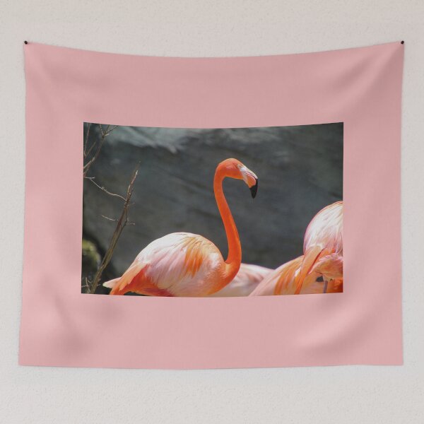 Item preview, Tall and Pink Greater Flamingo designed and sold by Sadeshots.
