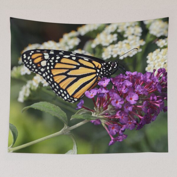 Item preview, Monarch on Buddleja designed and sold by StampCity.