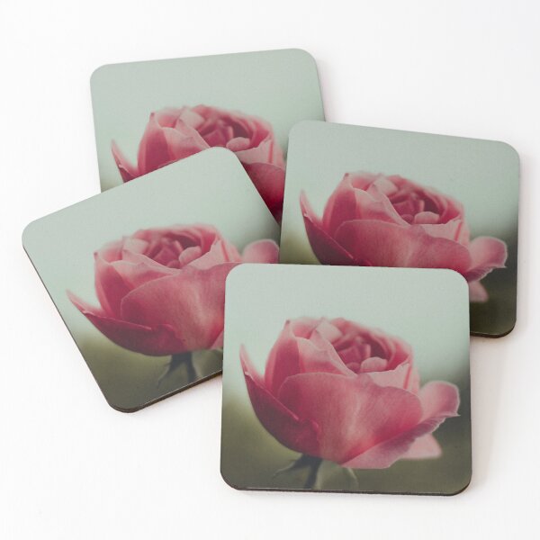 Pink Rose with Retro Filter Coasters (Set of 4)