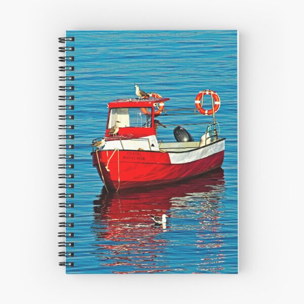 Item preview, Seagulls Fishing Anchored Red Boat Sea Seascape  designed and sold by worldways.