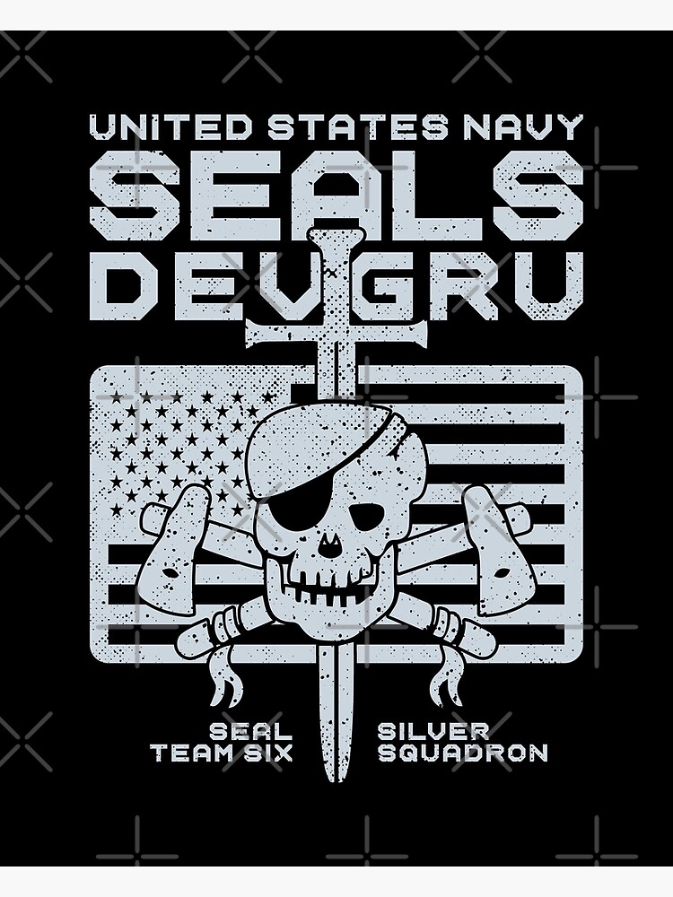 DEVGRU Silver Squadron | Poster