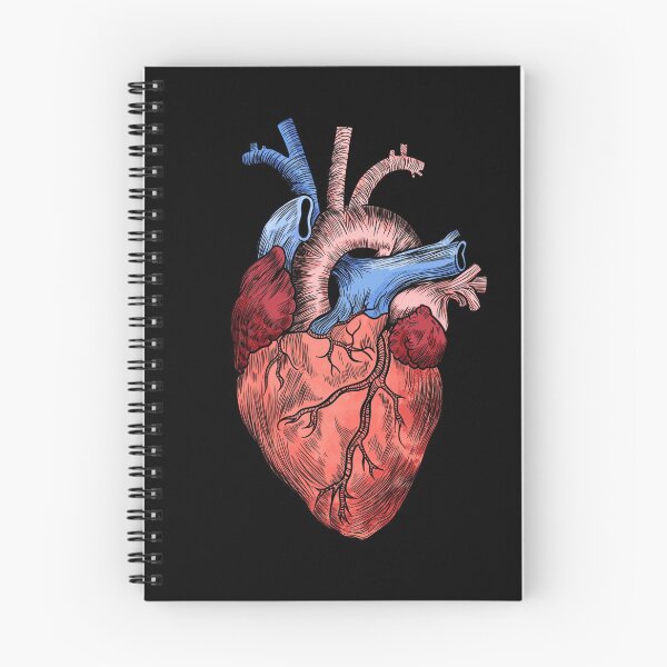Item preview, Anatomical Heart - Color Heart designed and sold by LaGode.