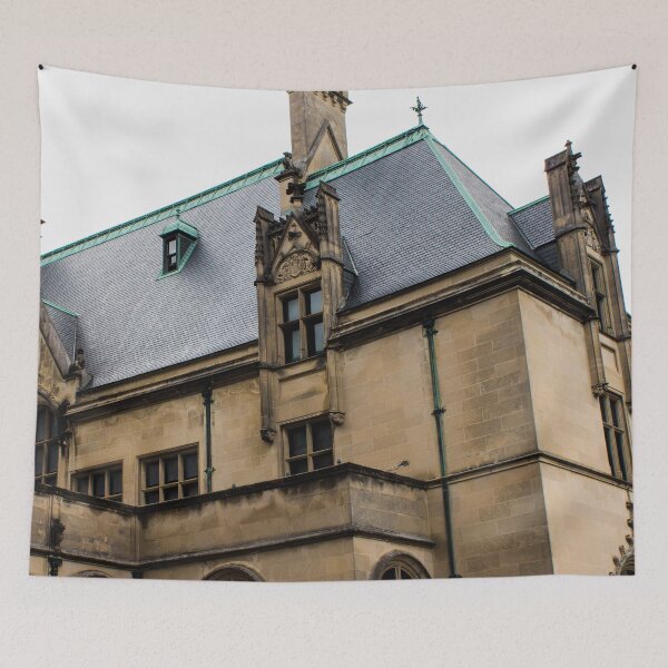 Item preview, Biltmore 2 designed and sold by rebeccaholbrook.