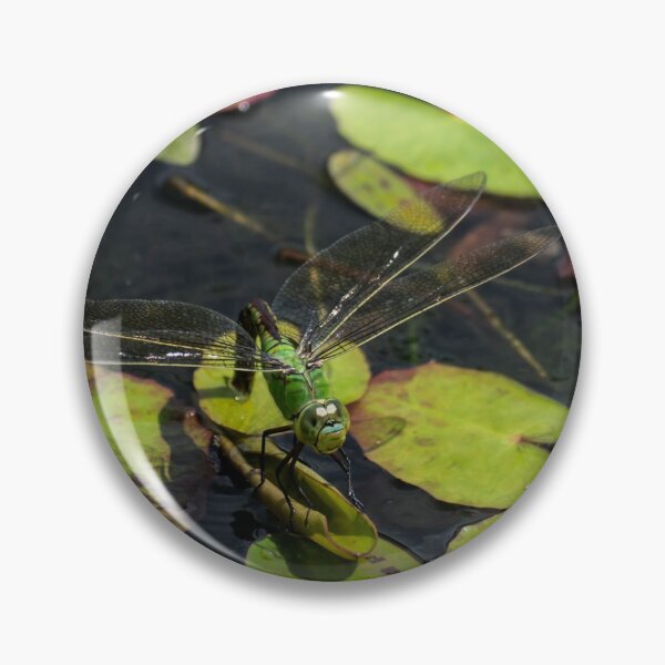 Item preview, Green Dragonfly designed and sold by GingerMan2550.