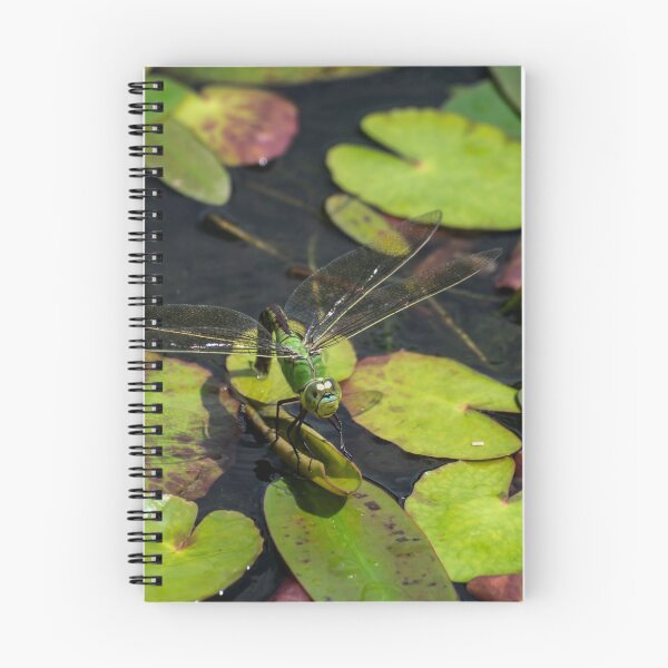 Item preview, Green Dragonfly designed and sold by GingerMan2550.