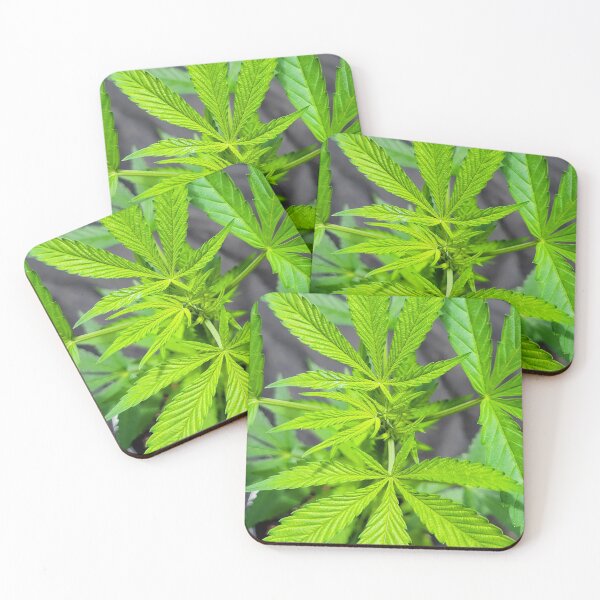 Item preview, Maryjane designed and sold by Chalycejordan.
