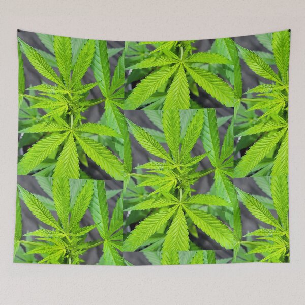 Item preview, Maryjane designed and sold by Chalycejordan.