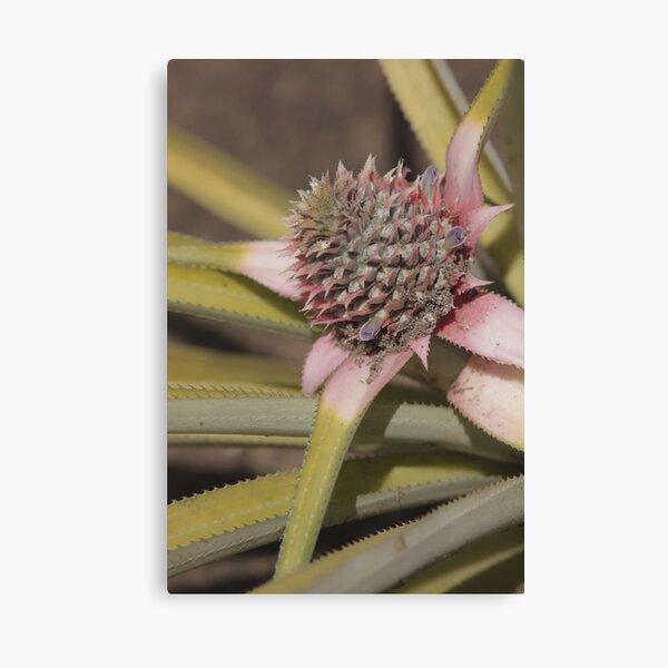 Item preview, Pineapple designed and sold by Wenby-Weaselbee.