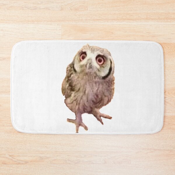 Item preview, owl photo, barnyard owl, wise owl, talons, big eyes, feathers,  designed and sold by Nostrathomas66.