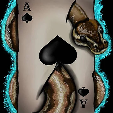 Artwork thumbnail, Ace python by Cgarland1985