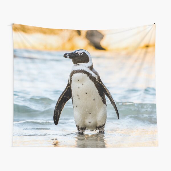 Artikel-Vorschau von   Wandteppiche, Wandteppiche, Überwurfdecken, Bettdecken, Bettbezüge, Duschvorhänge, Pinguin-Druck, Pinguin-Poster, Pinguin-Wandkunst, Pinguin-Kunst, Ozean, Vogelarten, Meer, Blau, Fisch, designt und verkauft von eyesight4vision.