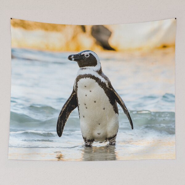 Item preview,   Tapestries,Tapestry,throw blankets,comforters,duvet covers ,shower curtains, Penguins print,Penguin poster,Penguin  wall art,Penguin  art, ocean,bird species, sea, blue, fish designed and sold by eyesight4vision.