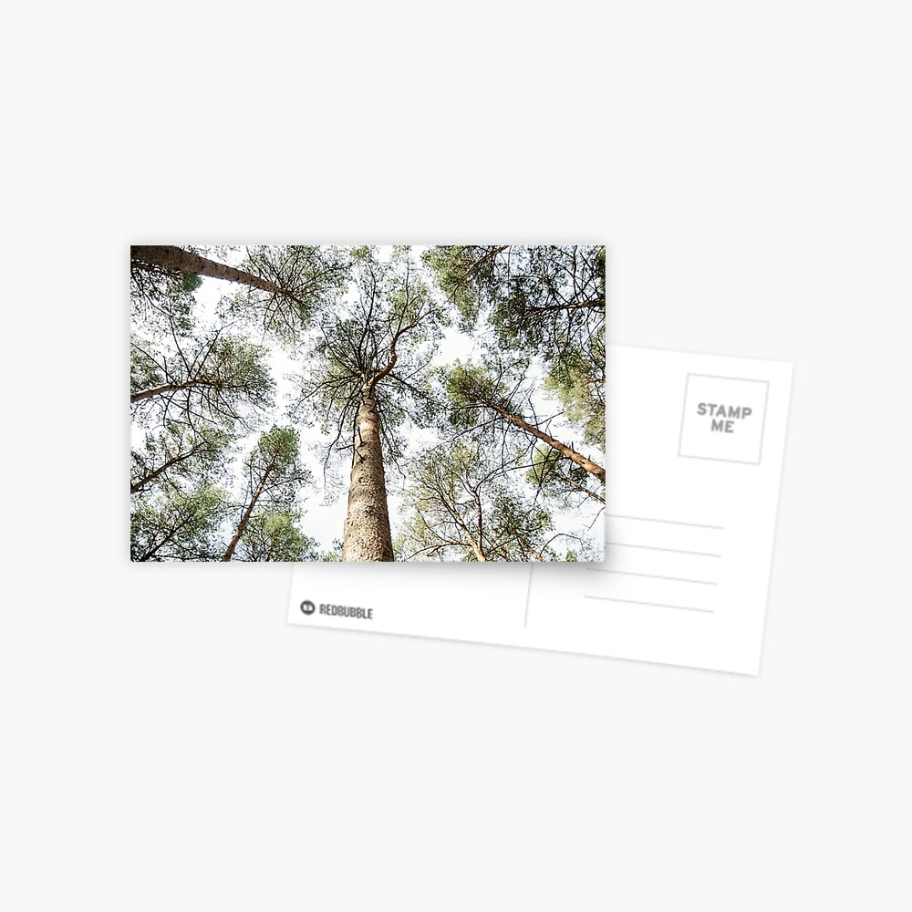Item preview, Postcard designed and sold by petegrev.