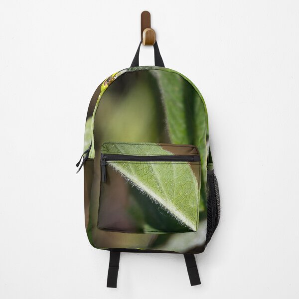 Item preview, a tree frog is hiding himself designed and sold by Ronenvief.