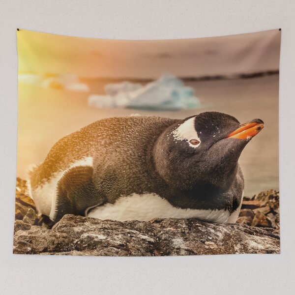 Item preview,   Tapestries,Tapestry,throw blankets,comforters,duvet covers ,shower curtains,Penguins print,Penguin poster,Penguin  wall art,Penguin  art, ocean,bird species, sea, blue, fish designed and sold by eyesight4vision.