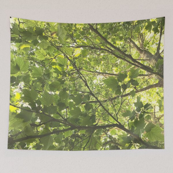 Item preview, Sycamore Tree in Summer designed and sold by Fiona-Lynn Designs.